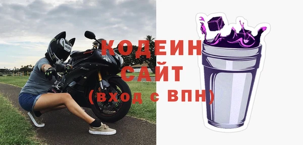 индика Богородицк