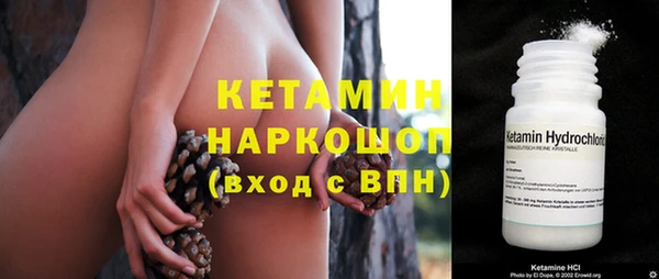 индика Богородицк