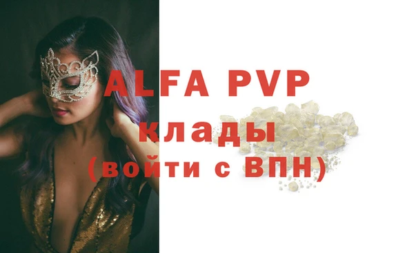 индика Богородицк