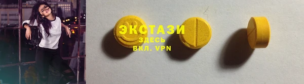 индика Богородицк