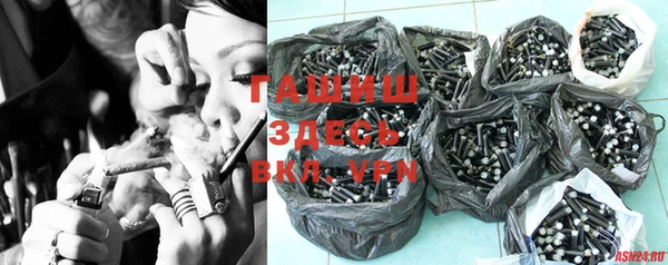 индика Богородицк