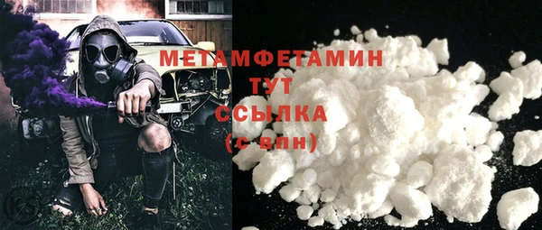 индика Богородицк