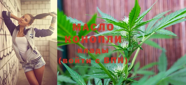 индика Богородицк