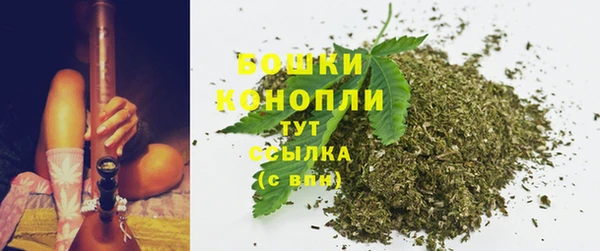 круглые Тында