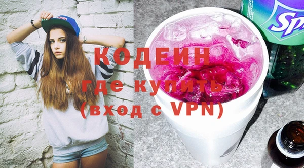 индика Богородицк