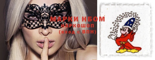индика Богородицк
