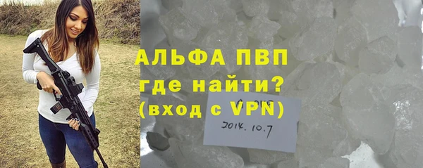 индика Богородицк